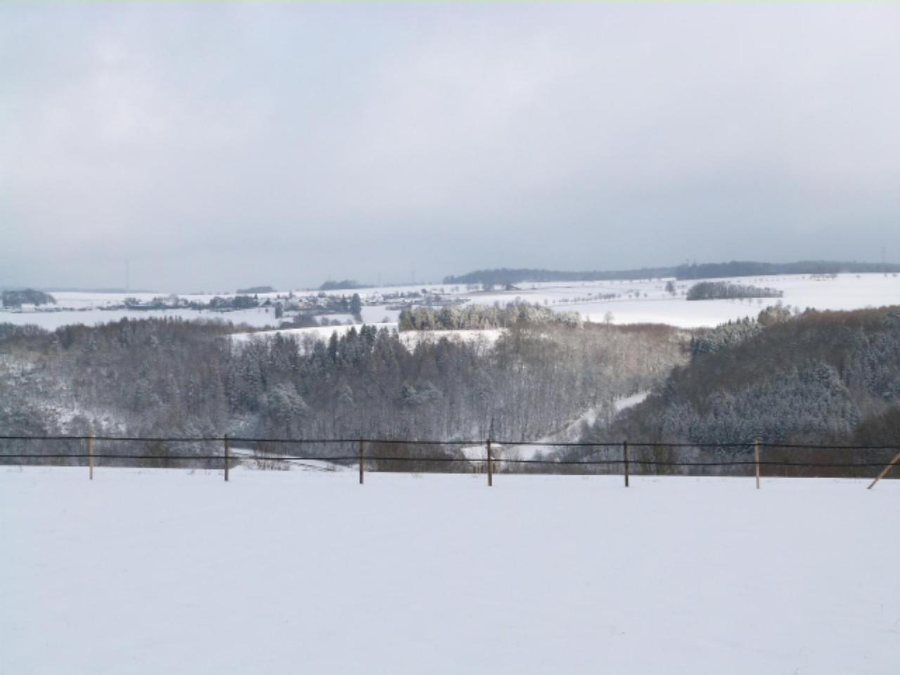 Villa Mosel Морбах Екстер'єр фото